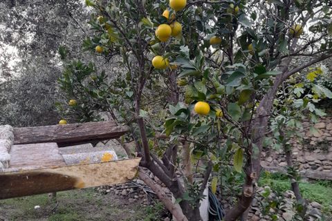 Byhus i Albanchez, Almeria, Albanchez - € 50.000 | Ref: Casa Vera - foto 44
